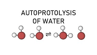 Autoprotolysis of Water Animation  Chemistry  Acid Base Balance [upl. by Koy956]