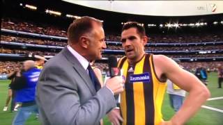 Last 41 seconds Hawthorn vs Fremantle AFL Grand Final 2013 [upl. by Bowden941]