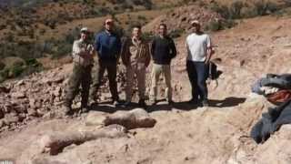 Biggest Dinosaur Ever Fossilised Bones Discovered In Argentina Trelew Patagonia [upl. by Newel979]