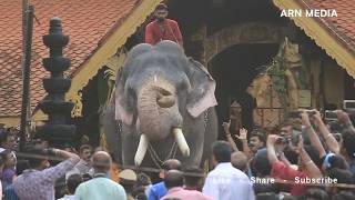 Thirunakkara Pakal Pooram 2018  Kerala Elephants [upl. by Dnomra]