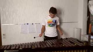 Another Love  Marimba Cover [upl. by Yecrad]