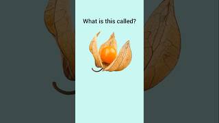 Can you name these Unique Fruits dailyenglish english visualvocabulary learnenglish [upl. by Saile363]