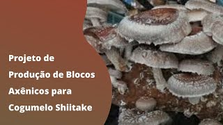 Projeto de Produção de Blocos Axênicos para Cogumelo Shiitake [upl. by Mossman]