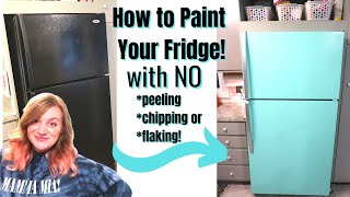 HOW TO PAINT A REFRIGERATOR DIY BUDGET RETRO FRIDGE MAKEOVER short [upl. by Amhser]