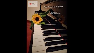 Stefano Indelicato Può nascere un fiore [upl. by Oinotnanauj]