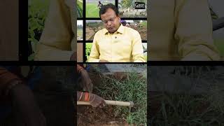 Nematode Control  सूत्रकृमि से बचाव  Gaon Connection [upl. by Babs]