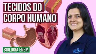 TECIDOS DO CORPO HUMANO  Resumo de Biologia Enem Professora Cláudia Aguiar [upl. by Truda855]