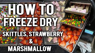 HOW TO FREEZE DRY SKITTLES STRAWBERRIES amp MARSHMALLOWS [upl. by Anilek]