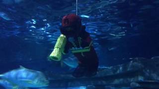 Atlantis SeaLife in Legoland Denemarken [upl. by Annayar]