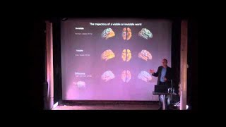 What is Consciousness with Stanislas Dehaene [upl. by Laeynad]