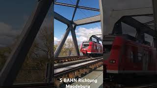 S Bahn Wittenberge Richtung Magdeburg auf der ELBBRÜCKE [upl. by Nodaj]