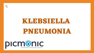 What is Klebsiella pneumoniae Symptoms of pneumonia and UTI caused by K pneumoniae [upl. by Nylcaj]