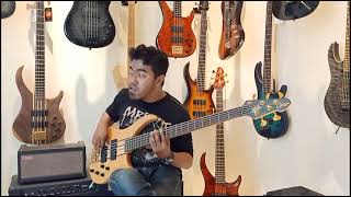 peavey cirrus 5 Demo [upl. by Godden]