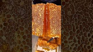 Extreme Honeycomb harvesting 🍯 Harvesting honey from beehive 🐝 EP78 trending shorts satisfying [upl. by Allerym]