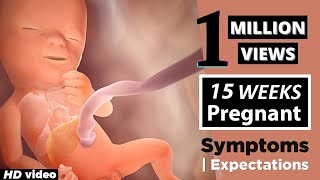 Pregnancy At 15TH Week  TheComplete Mothers Guide About 15th Week Of Pregnancy [upl. by Jeavons]