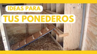 Cómo HACER NIDOS para tus GALLINAS  28 IDEAS  TIPS CASEROS🚀 [upl. by Resiak739]