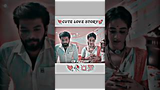 LOVE MARRIAGE STORY💕 LOVE BIRDS🥀shorts love viral lovestatus [upl. by Reichert]