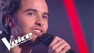 Stéphane Eicher – Déjeuner en paix Romain Blind Audition The Voice France 2020 [upl. by Ahsatam]