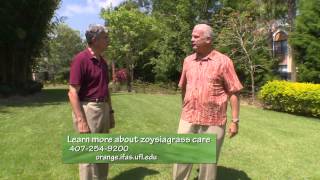 Central Florida GardeningZoysiagrass [upl. by Elledoj]