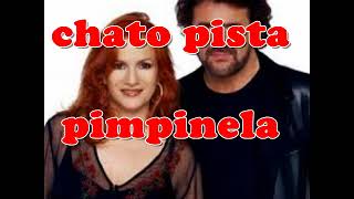 SEÑORITA karaoke PIMPINELA chato pista [upl. by Ilehs]