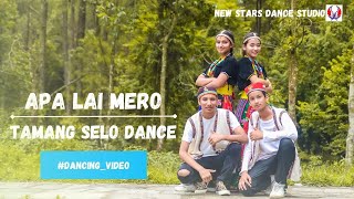 APA LAI MERO  Tamang Selo Dance  New Stars Dance Studio  Dance Choreography [upl. by Stedmann]