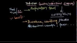 Campylobacter infection [upl. by Chance429]