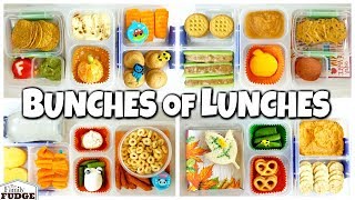 FALL Themed SCHOOL Lunch Ideas for JK 1st grader 3rd grader 🍁 What They DIDNT Eat [upl. by Eiclud]