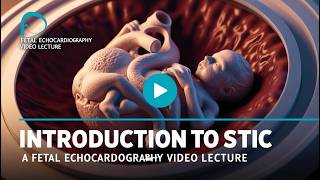 Is 4D Ultrasound Helpful  Introduction to STIC [upl. by Orelee308]