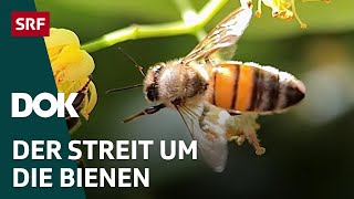 Das Bienendilemma  Zwischen Profit und Artenschutz  DOK  SRF Wissen [upl. by Tessie]