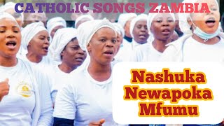 Newapoka mfumuCatholic best Zambian songs official audio catholicsongs [upl. by Garrity]