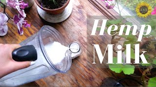 HEMP MILK RECIPE  Dietitian Approved [upl. by Levon]