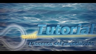 TUTORIAL  Linnesco del cannolicchio  Sub ITAEN [upl. by Nalyad399]