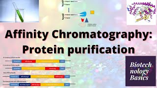 Affinity Chromatography Protein purification [upl. by Iak]