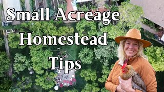 Self Sufficiency on Small Acreage Homestead Tips  My Chicken Coop [upl. by Towne]