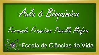 Bioquímica Aula 6  Enzimas  introdução [upl. by Aiseneg914]