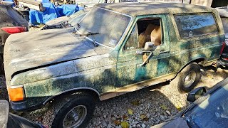 Junkyard 1987 Bronco For 800 ScrapParts or Will It Run and Drive NNKH [upl. by Champagne]