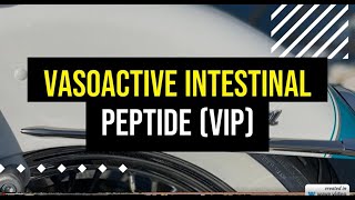 Vasoactive Intestinal Peptide VIP Explained [upl. by Yokum404]