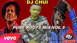 PURE ROOTS MIX VOL 5  DJ CHUI [upl. by Attolrac]