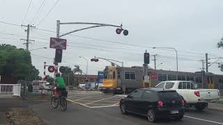 Nudgee Road Ascot QLD Railway Crossing [upl. by Inamik]