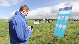 Next generation cow health amp fertility sensor MooMonitor [upl. by Auop140]