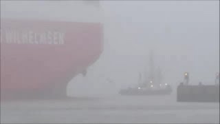 Emden Torrens IMO 9293612 im Nebel RoRo Ship casts off in fog Detail Zooms [upl. by Noryahs]