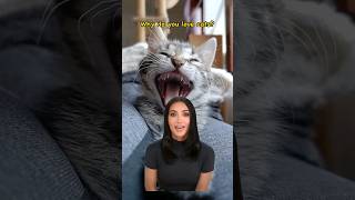 Why do you like cats memes kimkardashian cat [upl. by Olimac808]