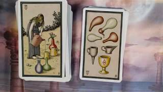 Alchemical Tarot Renewed  4k flip through [upl. by Notlad]