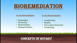 Bioremediation Insitu and Exsitu Bioremediation Hindi Urdu Concepts of Botany [upl. by Lindner772]