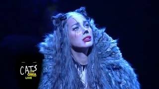 Cats Broadway Cast Performs LIVE Medley on GMA  Leona Lewis as Grizabella [upl. by Daffi]