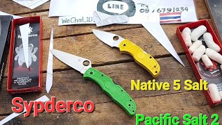 Spyderco Pacific Salt 2 VS Spyderco Native 5 Salt [upl. by Ahtis503]