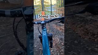 Steep Winterberg tech🙄🤩 mtb winterberg bikepark [upl. by Gracye447]