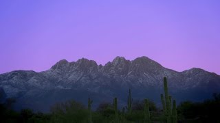 Avalon Emerson  The Frontier Official Video [upl. by Accber]