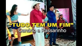 quotTUDO TEM UM FIMquot com CANÁRIO E PASSARINHO [upl. by Ahsener]