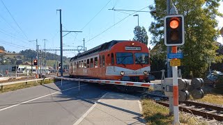 Bahnübergang Huttwil CH  Swiss Railroad Crossing [upl. by Ardnuas]